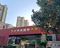 寶睿未來國際小學教室照明改造